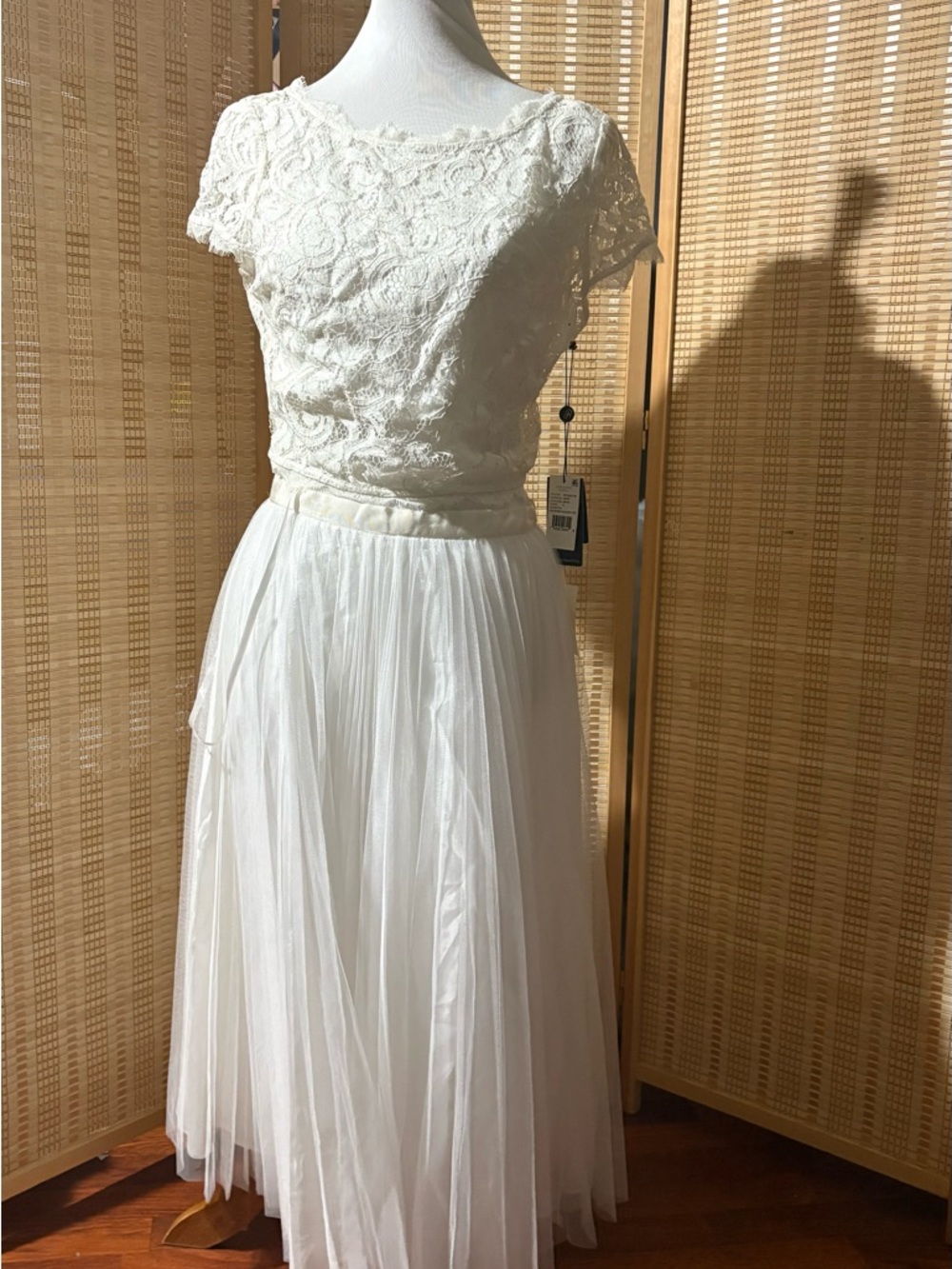 Adrianna Papell Ivory Lace Bodice High-Low Tulle Dress Size 8